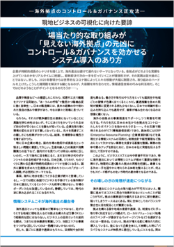 ebook-global-erp